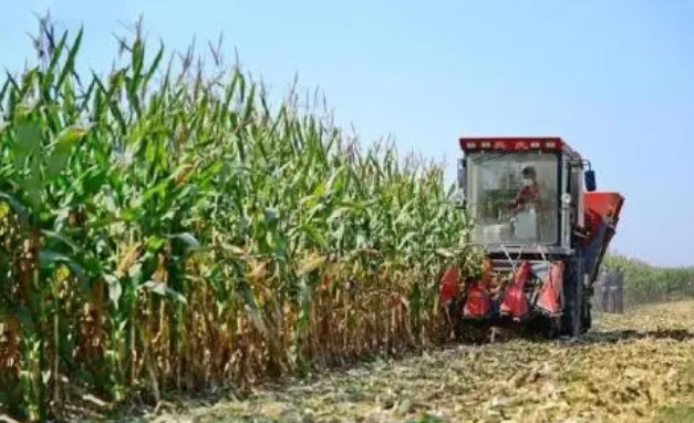 玉米机械化收割的现状及主要技术分析