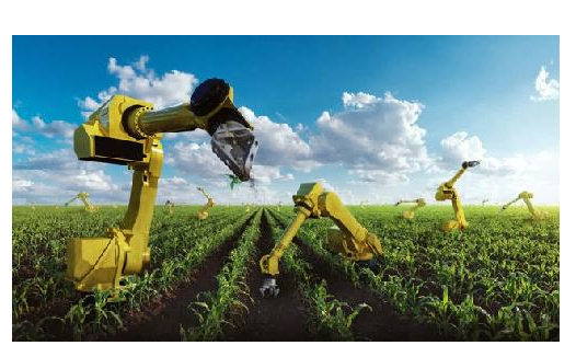 农业技术创新与农业经济增长关系研究
