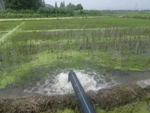 基于SPA-VFS耦合模型的河套灌区灌溉用水效率分级