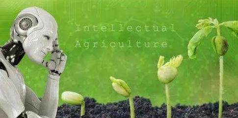 农业人工智能实践探索与发展路径探究