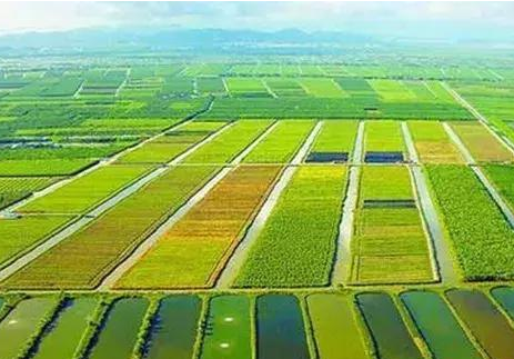 农业技术推广投资对农业经济增长的促进作用