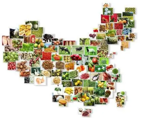 农产品区域品牌对农业经济发展质量的影响