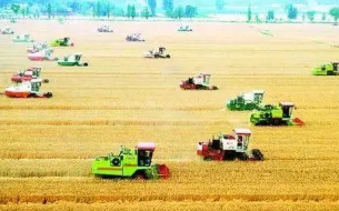 乡村振兴背景下农业经济管理的优化策略