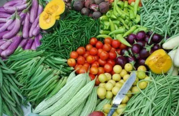 徐州市蔬菜产业发展现状及提升竞争力研究