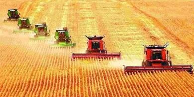 农村劳动力转移、经营规模与粮食生产环境技术效率