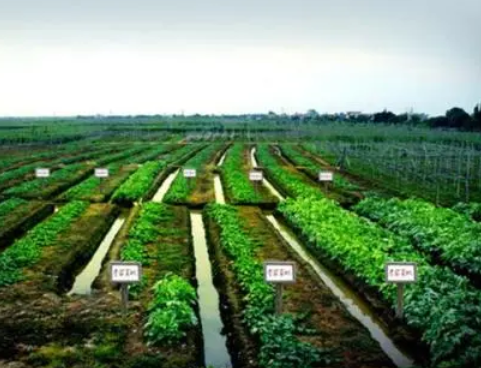 绿色生态农业在农业经济可持续发展中的作用研究