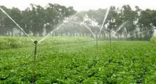 农业经济与水资源环境的协调耦合发展研究