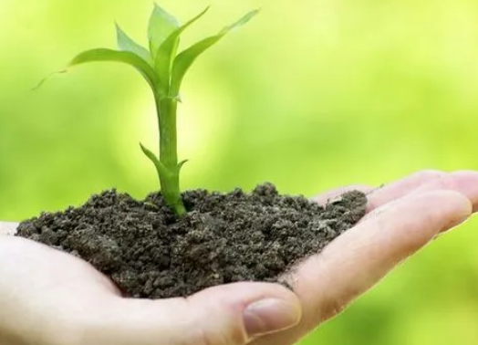 土壤污染与生态环境保护现状及防治策略