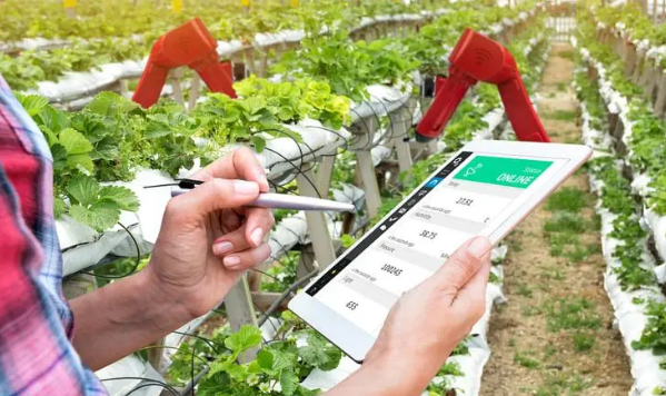 试论“互联网+”在农业技术推广中的应用