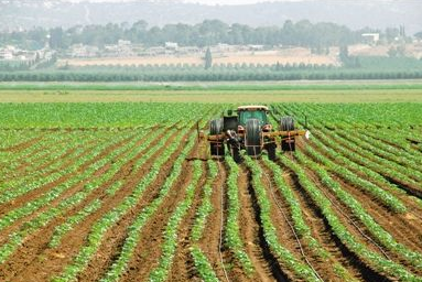 新疆阿克苏地区绿色农业技术效率测算及影响因素分析