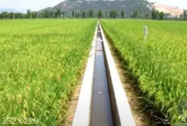 农田灌溉管理存在的问题及对策