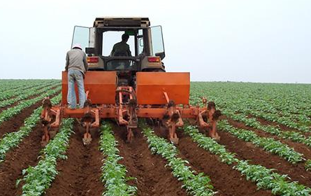 农业技术推广的作用、存在问题及对策