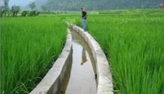 农田水利工程中高效节水灌溉发展对策
