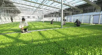 广州市农业科技发展现状、存在问题与建议