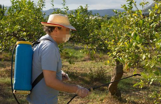 果树栽培管理技术及病虫害防治措施探究