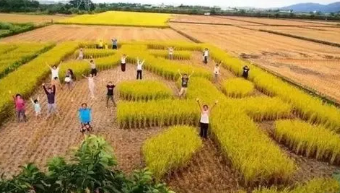北京休闲农业发展现状特征及对策建议