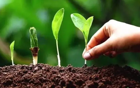 生物炭对土壤的改良作用及对种植业的影响