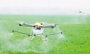 曲阜市植保无人机小麦病虫害防治的推广应用