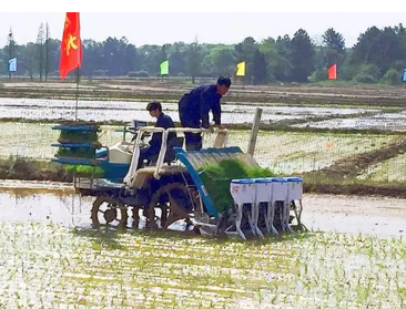 现代农业机械化在农业种植技术中的问题