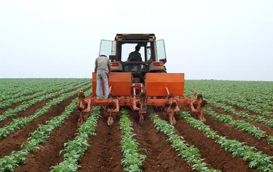 基层农业技术推广工作中存在的问题及其对策