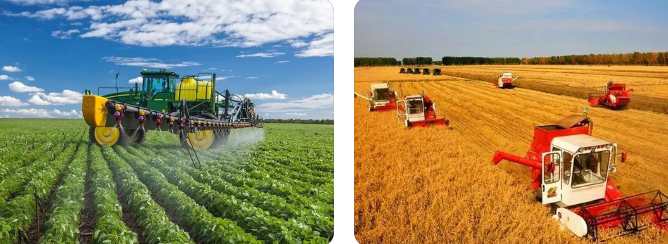 中国农业经济高质量发展指标体系构建与测度