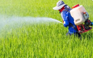 水稻生产农药减量配套技术应用研究