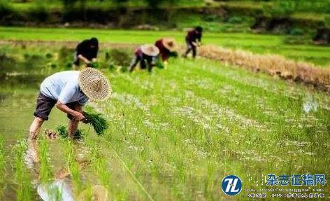 江苏省生态农业发展模式研究及对策探讨