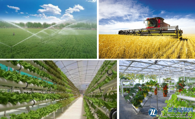 黑龙江省农业生产性服务业与现代农业关系研究