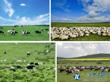 草原畜牧业发展与生态环境治理对策