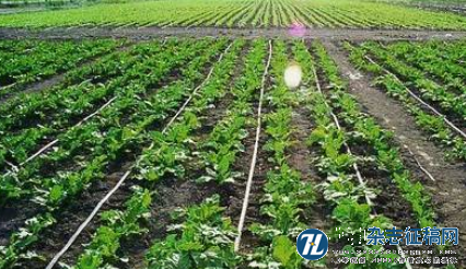 山东省现代农业发展的劳动力支持能力研究