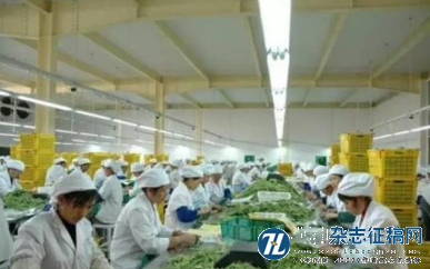 四川秦巴山区特色农产品加工产业集群发展建议