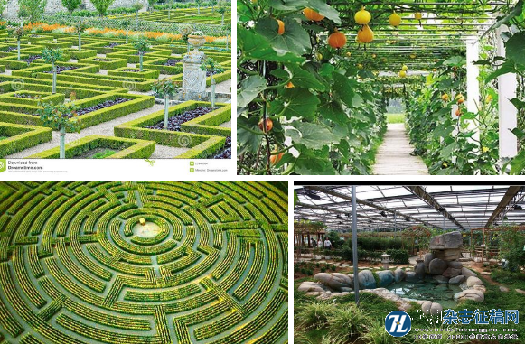 蔬菜文化迷宫的设计与种植技术