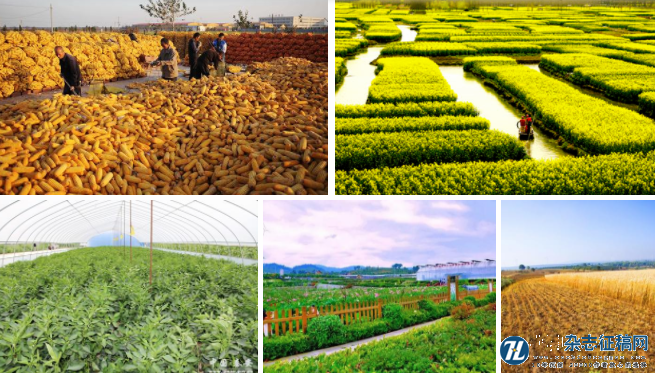中国农村农业经济的发展