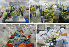 云南省蔬菜加工业发展现状及对策研究