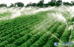 新知设施蔬菜种植户节水灌溉技术采纳行为探讨