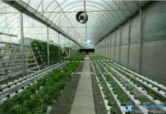 物联网在设施蔬菜大棚种植上的有效应用