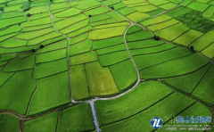 高台县农业绿色发展先行区建设成效及做法