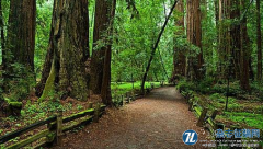 论自然保护区林业资源保护利用和可持续发展建
