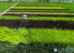 生态农业发展中植物保护核心技术浅析