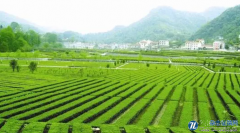 农业生态环境监测技术方法