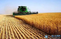 农技农产品国际贸易对我国农业经济增长的影响