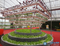 现代农业科技创新探索与实践—以南京市为例