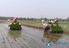 农业机械技术在水稻种植与病虫害防治中应用