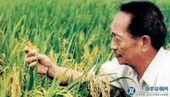 水稻种植与抗病技术