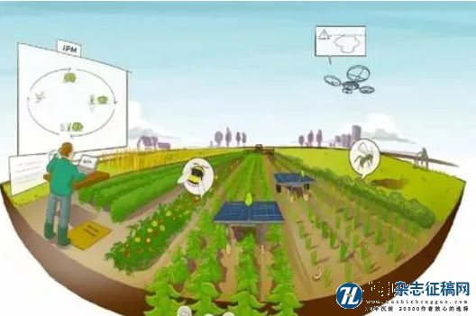 农业企业“互联网+”科技推广问题研究