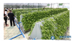 室内无土栽培农作物生长环境智能监测系统