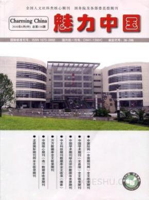 魅力中国期刊封面
