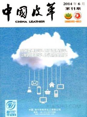 中国皮革期刊封面