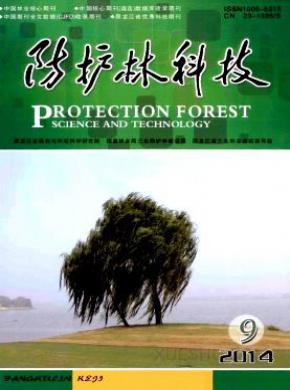 防护林科技期刊封面
