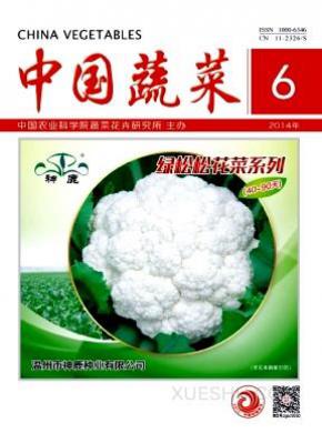中国蔬菜期刊封面